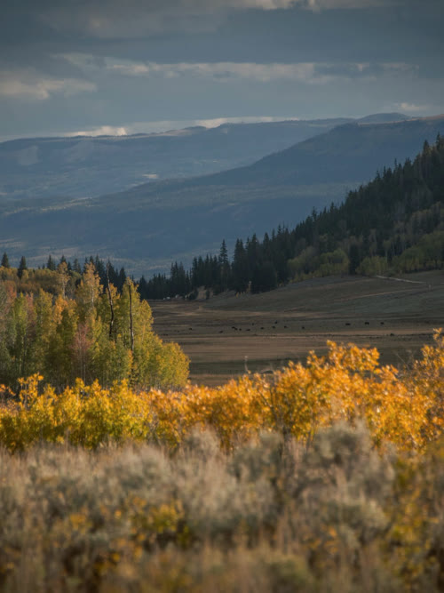 Wasatch Plateau, Utah